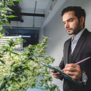 Cannabis Business Management Plan Developing and Executing Strategies