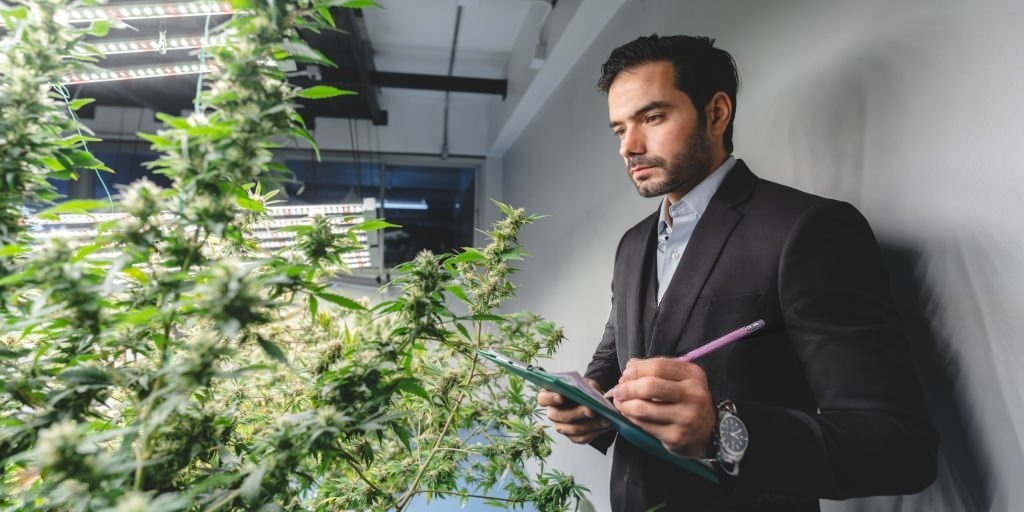 Cannabis Business Management Plan Developing and Executing Strategies