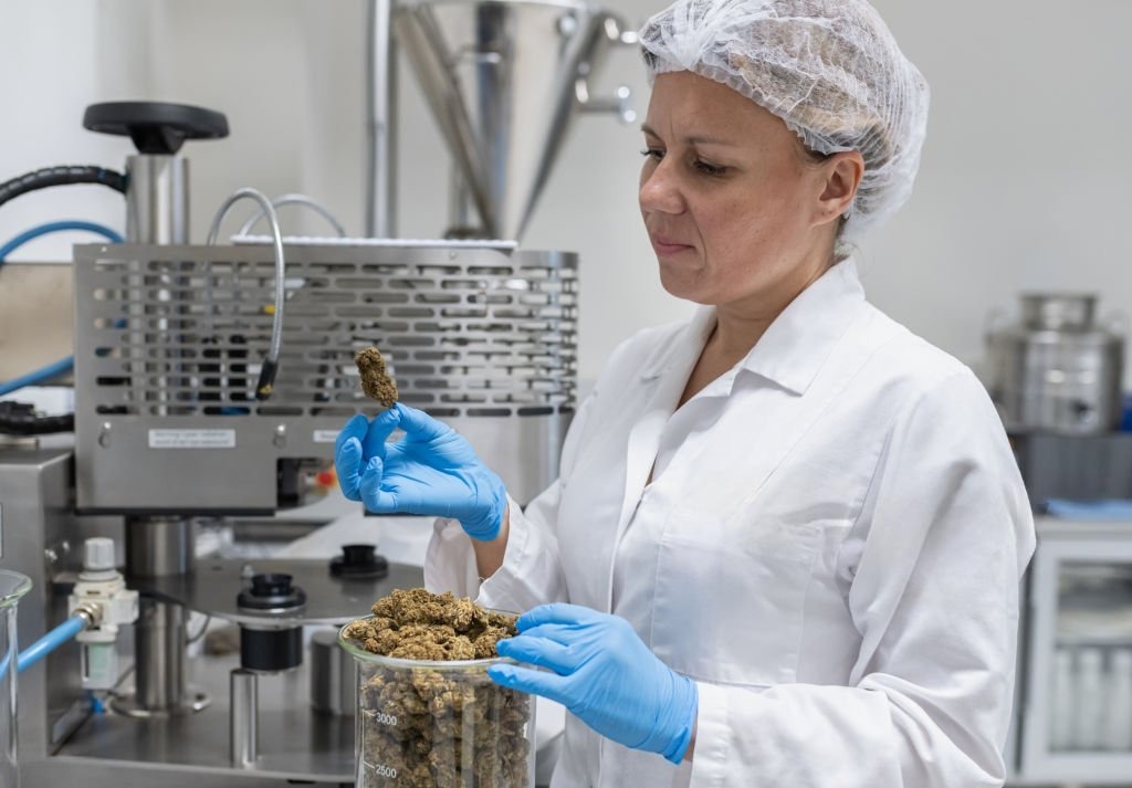 Principles of Processing, Packaging, and Shelf-Life in Cannabis & Food