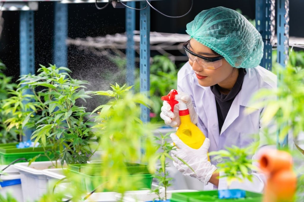 Fundamentals of Sanitation in Cannabis, Edible, and Food Industries